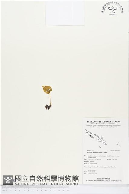 登錄號:BS02135藏品圖，第1張