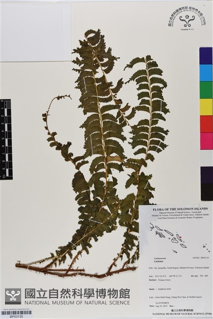 登錄號:BP03135藏品圖，第1張