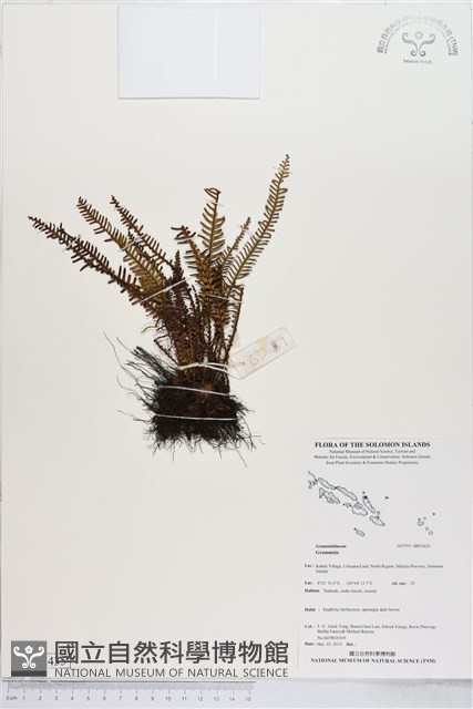 登錄號:BP02435藏品圖，第1張