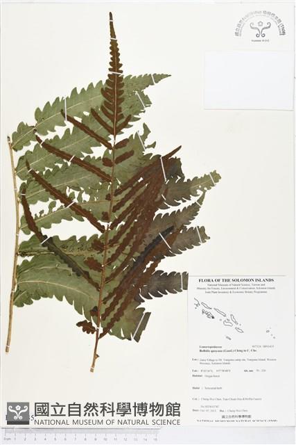 登錄號:BP01435藏品圖，第1張