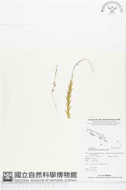 登錄號:BS01435藏品圖，第1張