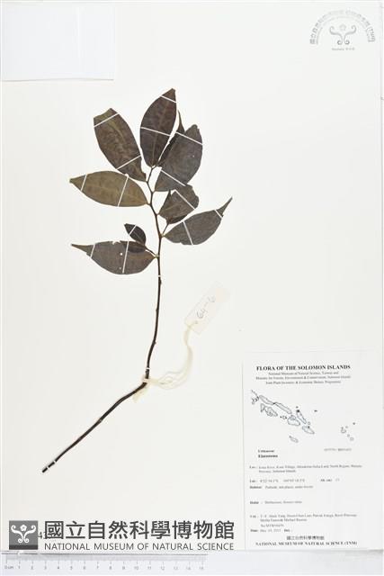 登錄號:BS05435藏品圖，第1張