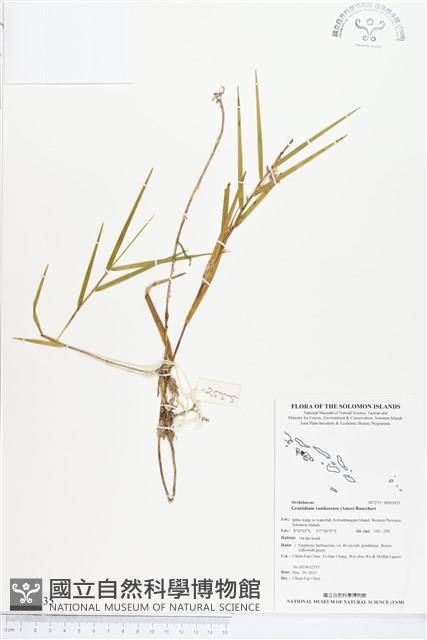 登錄號:BS03435藏品圖，第1張