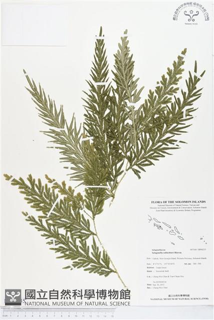 登錄號:BP00235藏品圖，第1張