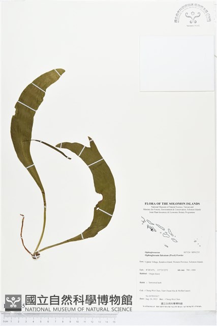 登錄號:BP01235藏品圖，第1張
