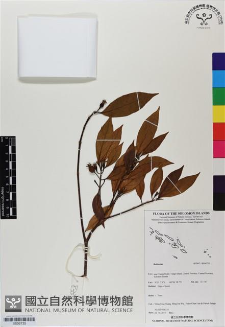 登錄號:BS06735藏品圖，第1張