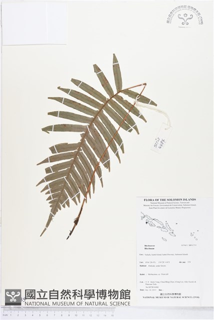 登錄號:BP01735藏品圖，第1張