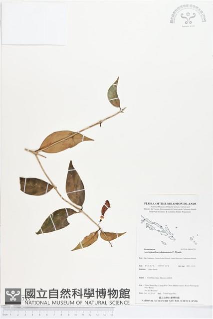 登錄號:BS04735藏品圖，第1張