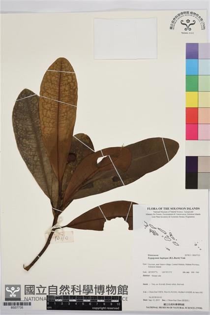 登錄號:BS07735藏品圖，第1張