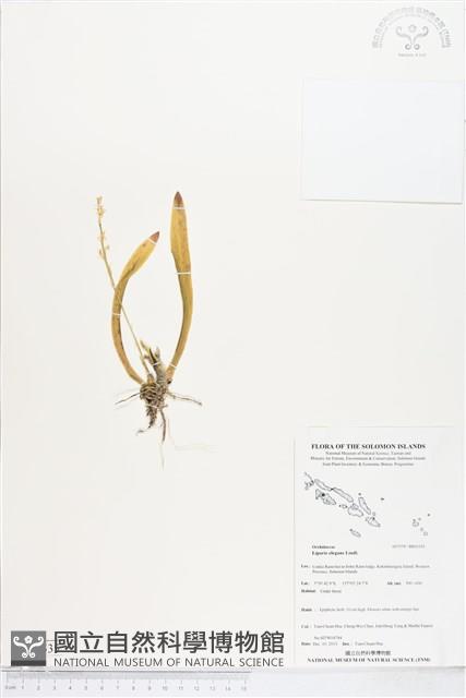 登錄號:BS05535藏品圖，第1張