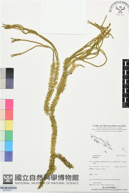 登錄號:BP03535藏品圖，第1張