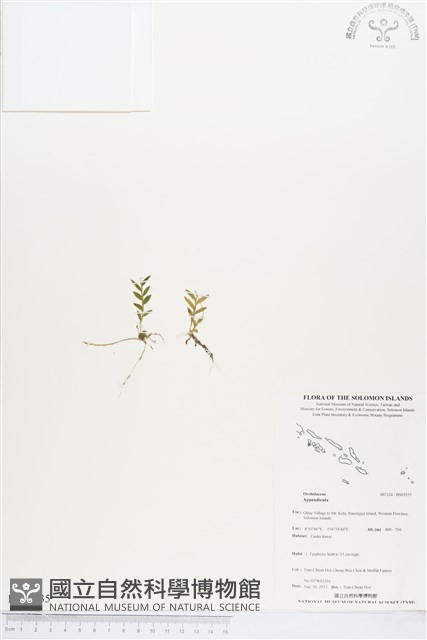 登錄號:BS03535藏品圖，第1張