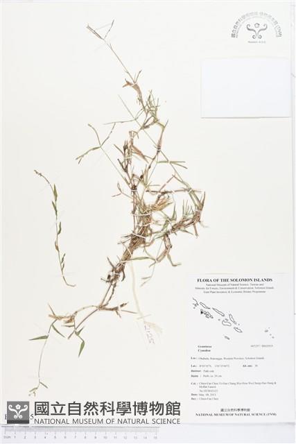 登錄號:BS02935藏品圖，第1張