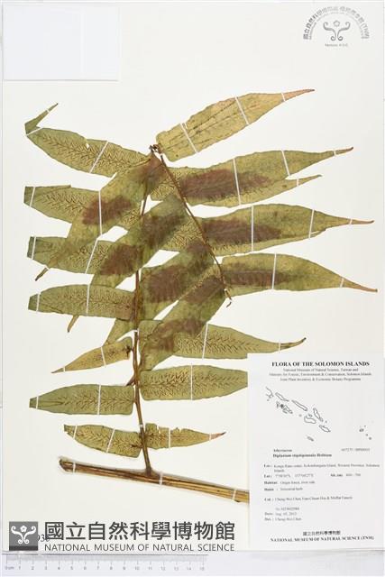 登錄號:BP00935藏品圖，第1張