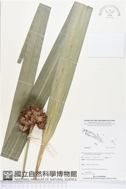 登錄號:BS04935藏品圖，第1張