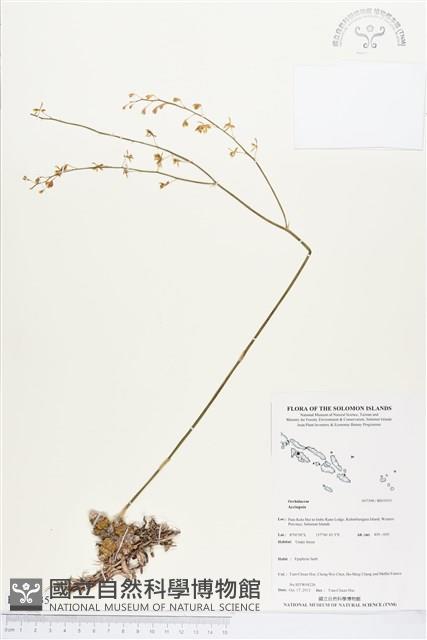 登錄號:BS03935藏品圖，第1張