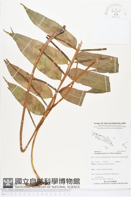 登錄號:BP02335藏品圖，第1張