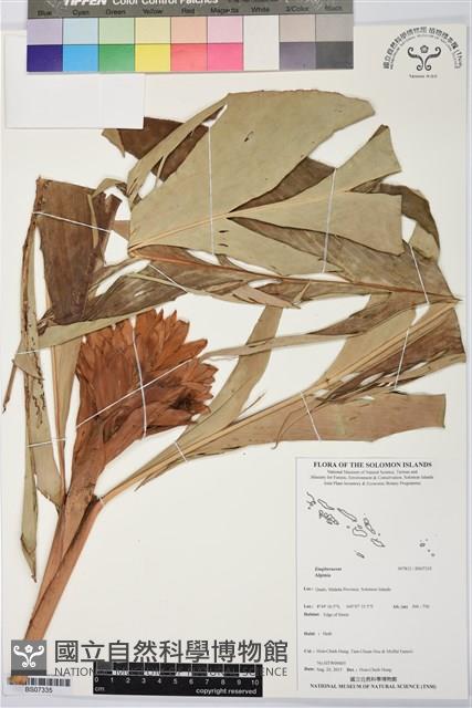 Accession Number:BS07335 Collection Image