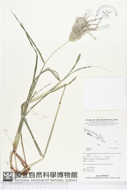 登錄號:BS02824藏品圖，第1張