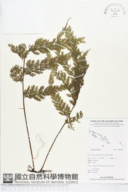 登錄號:BP00824藏品圖，第1張