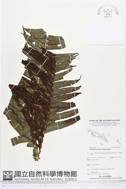 登錄號:BP01824藏品圖，第1張