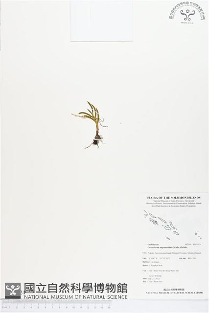 登錄號:BS01824藏品圖，第1張