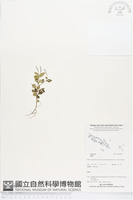 登錄號:BS04824藏品圖，第1張