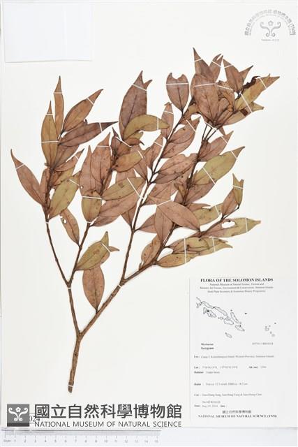 登錄號:BS05024藏品圖，第1張