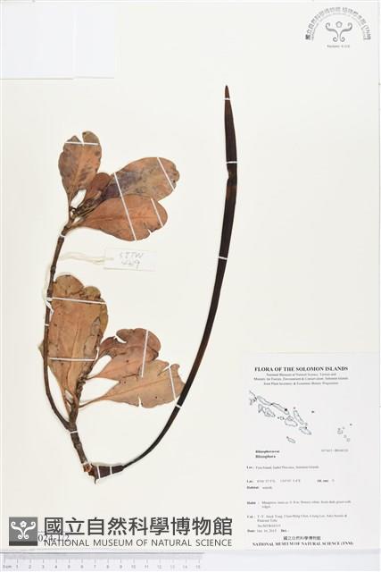 登錄號:BS04024藏品圖，第1張