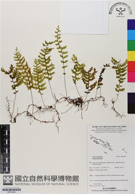 登錄號:BP03024藏品圖，第1張