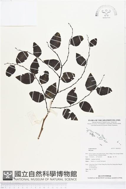 登錄號:BS03024藏品圖，第1張