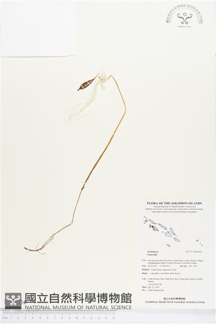 登錄號:BS02624藏品圖，第1張
