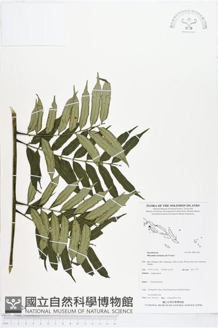 登錄號:BP01624藏品圖，第1張