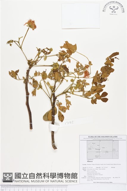 登錄號:BS01624藏品圖，第1張