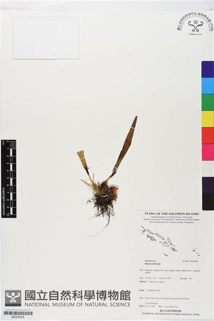 登錄號:BS05624藏品圖，第1張