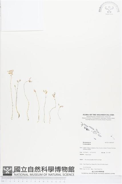 登錄號:BS03624藏品圖，第1張