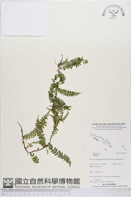 登錄號:BP01124藏品圖，第1張