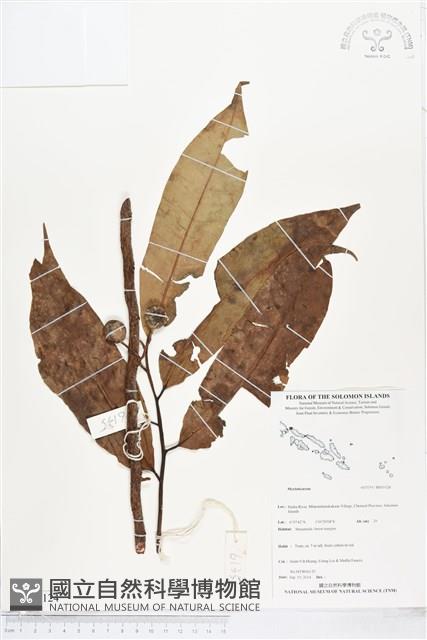 登錄號:BS05124藏品圖，第1張