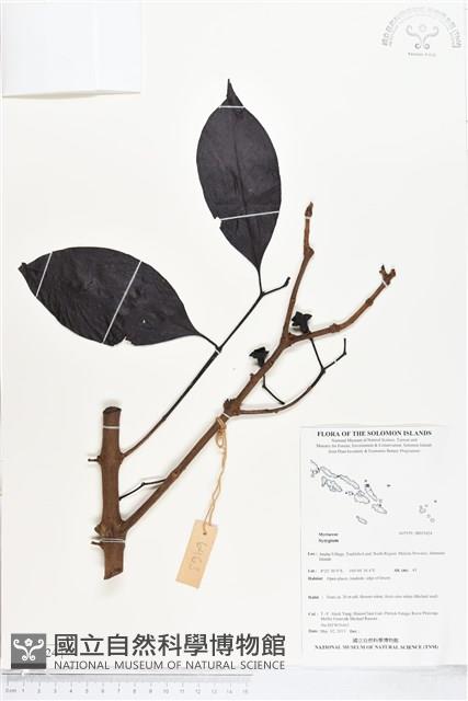 登錄號:BS05424藏品圖，第1張