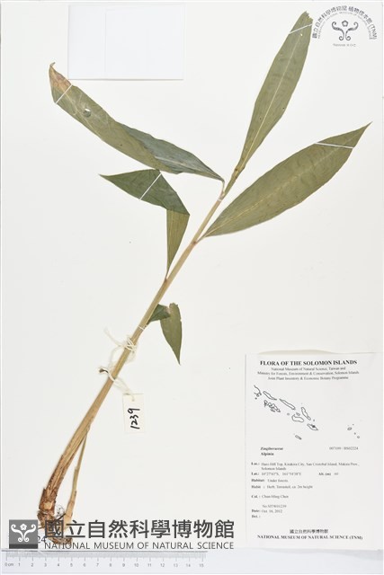 登錄號:BS02224藏品圖，第1張