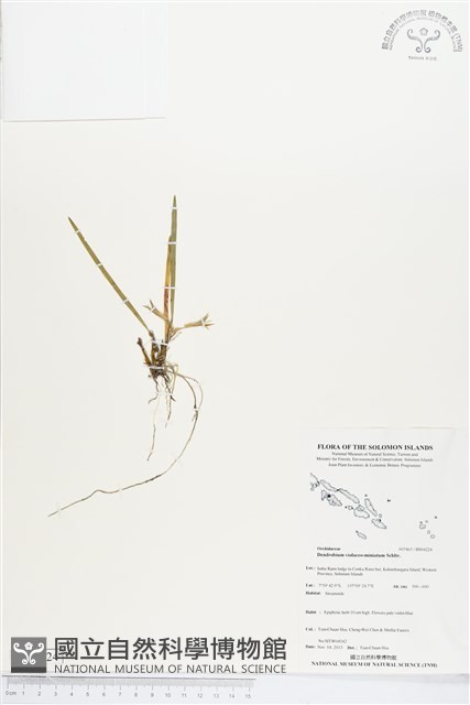 登錄號:BS04224藏品圖，第1張