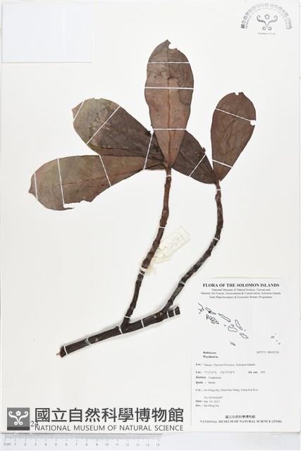 登錄號:BS03224藏品圖，第1張