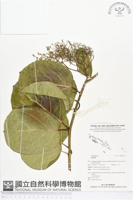 登錄號:BS02724藏品圖，第1張