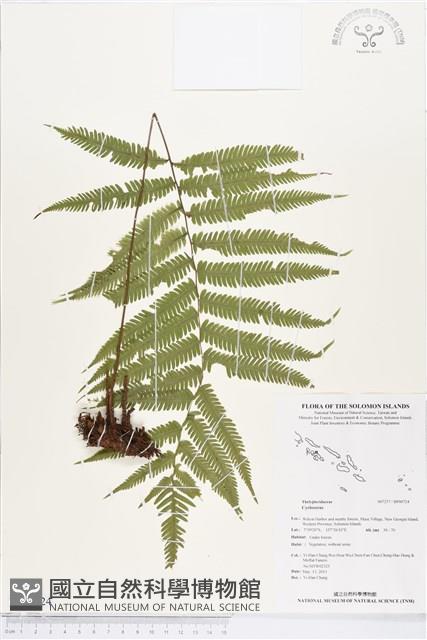 登錄號:BP00724藏品圖，第1張