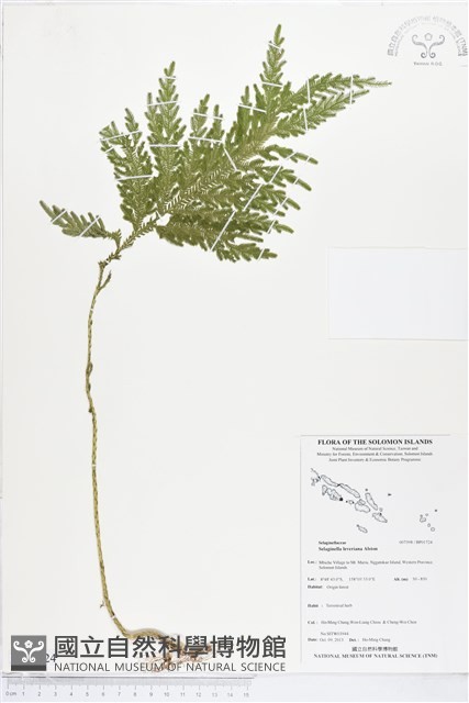 登錄號:BP01724藏品圖，第1張