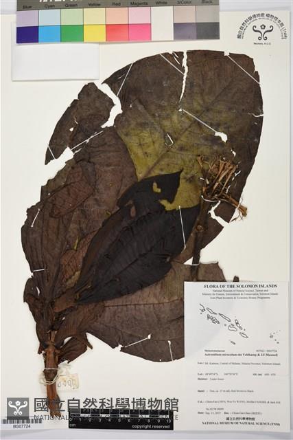 登錄號:BS07724藏品圖，第1張