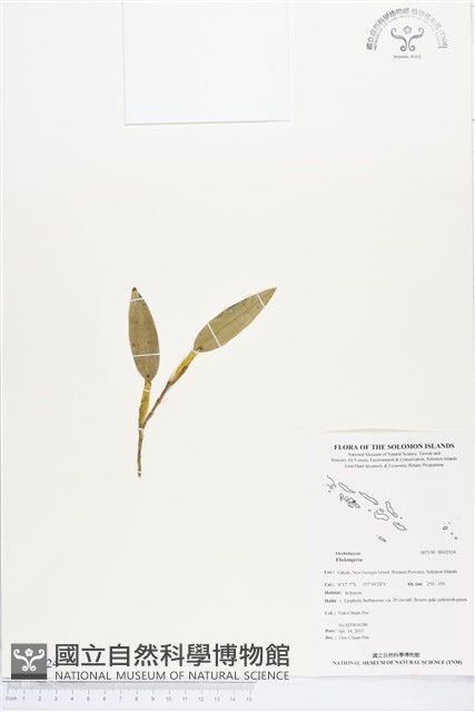 登錄號:BS02524藏品圖，第1張