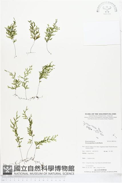 登錄號:BP01524藏品圖，第1張