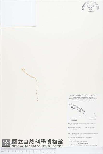 登錄號:BS03524藏品圖，第1張