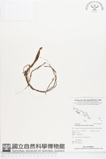 登錄號:BS01924藏品圖，第1張